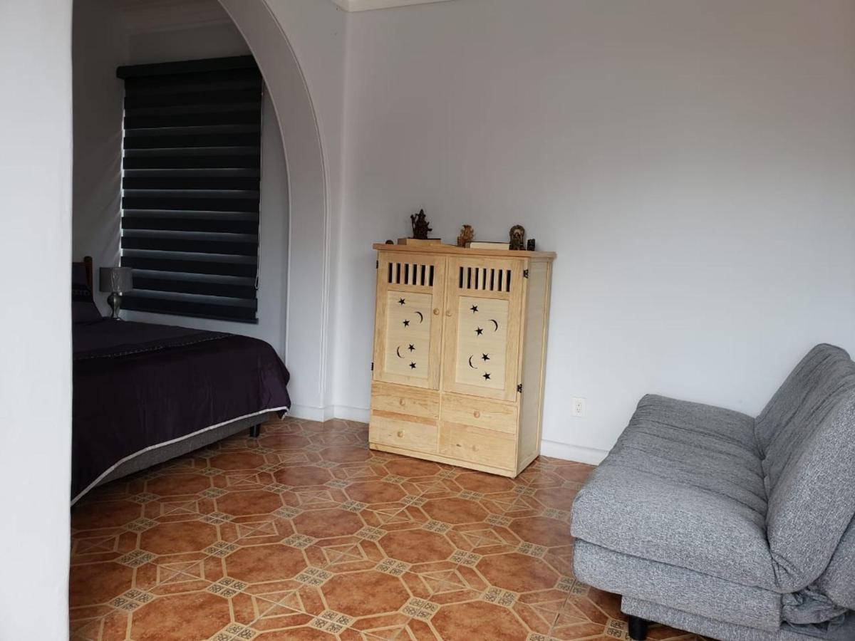 Apartament Loft Terraza Coyoacan Vista Plaza Kiosco Depa 50M2 Meksyk Zewnętrze zdjęcie